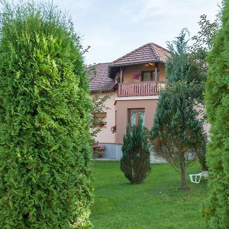 Apartment Ivan & Iva Gornji Vaganac Εξωτερικό φωτογραφία