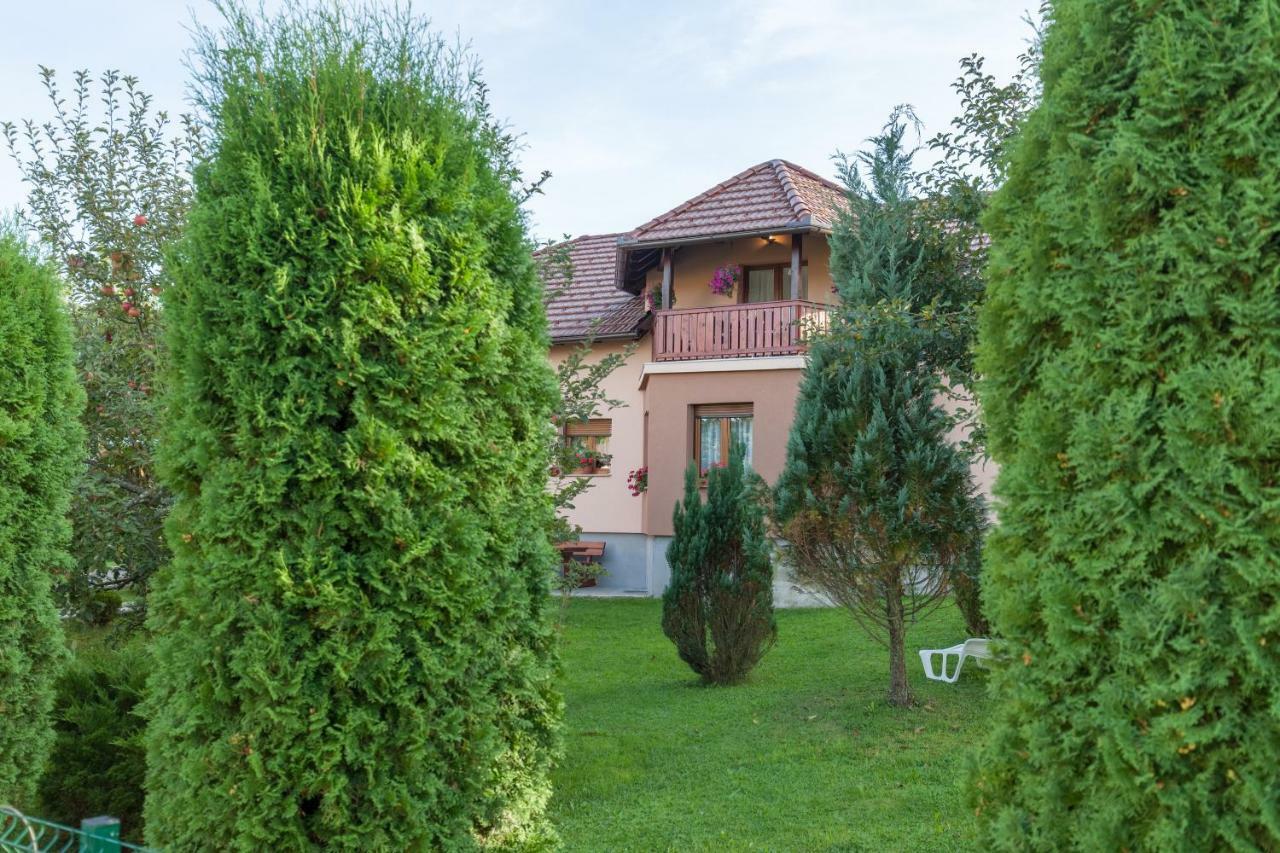 Apartment Ivan & Iva Gornji Vaganac Εξωτερικό φωτογραφία